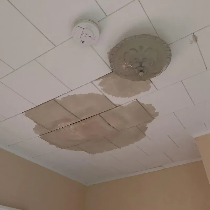 Ceiling Water Damage Repair in Cisco, TX