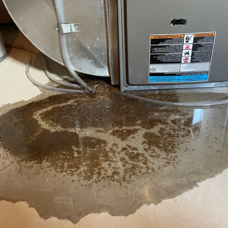 Pipe Burst and Leak Restoration in Cisco, TX