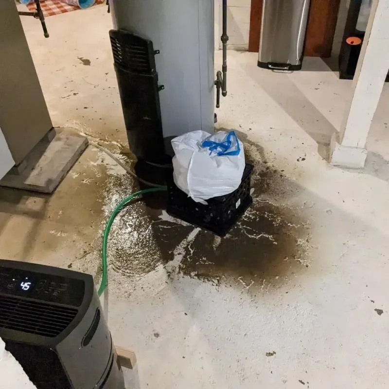 Sewage Backup Cleanup Service in Cisco, TX